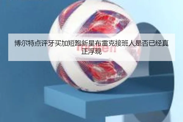 bo-er-te-dian-ping-ya-mai-jia-duan-pao-xin-xing-bu-lei-ke-jie-ban-ren-shi-fou-yi-jing-zhen-zheng-fu-xian-2-203.jpg